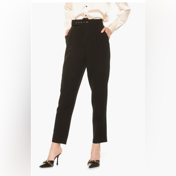 Alexia Admor Other - Alexia Admor Zayna Belted Cigarette High Waisted Pants Sz 8 NWT $179